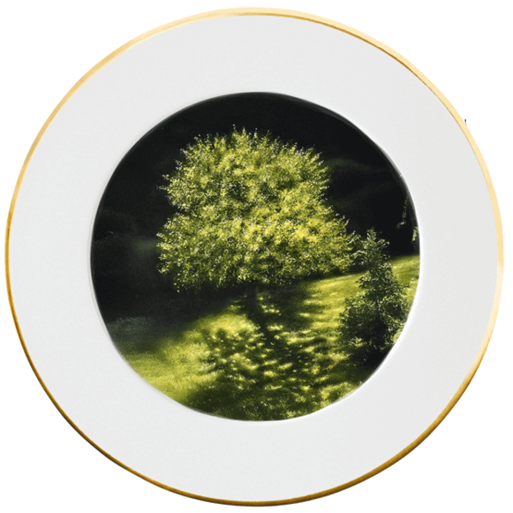 Platzteller | Designstudien, Schwarzwald